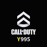  Y995