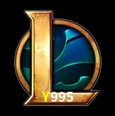  Y995