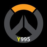  Y995