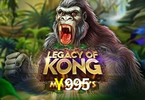  Y995