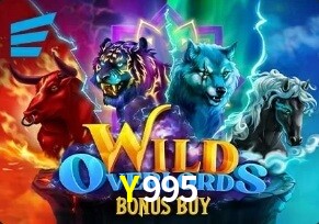  Y995