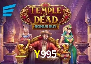  Y995