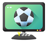  Y995