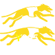  Y995